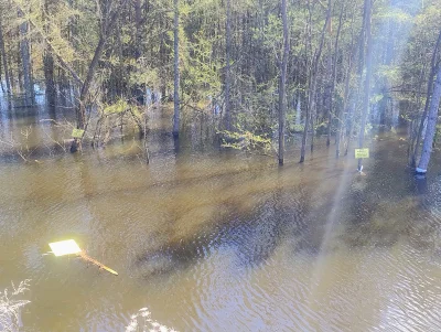 sylwke3100 - Z drugiej strony