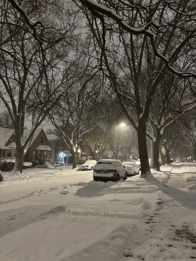 fsfdjf - zimno, śnieżnie i fajnie, ale niektóre kasztany nie odśnieżają przed domami ...