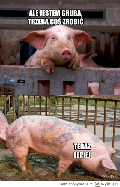 Damianonymous - Wyluzujcie z tym hejtem na tagu. Dla rozluźnienia wrzucam niezwiązane...