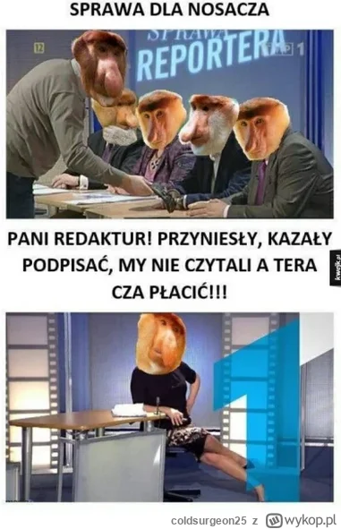 coldsurgeon25 - @HAMSKLOSS89: jprdl.... inwestorzy