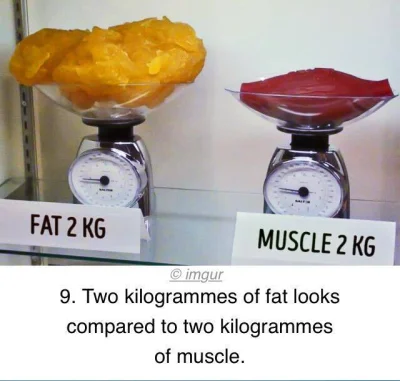 Kotouak - @Bardamu: objętościowo, kilogram tkanki mięśniowej, zajmuje dużo mniej, niż...