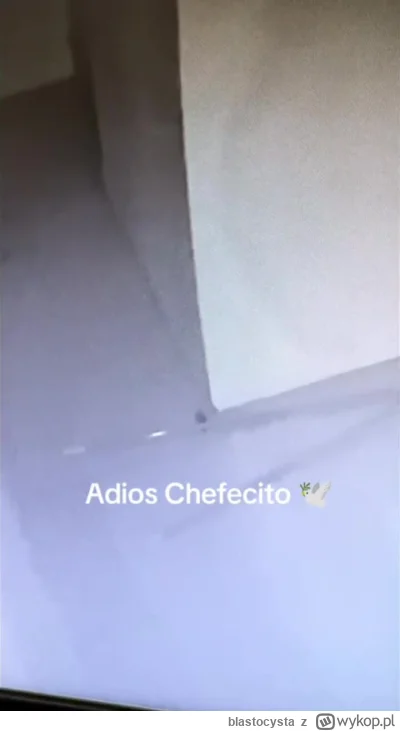 blastocysta - #trzecieoko