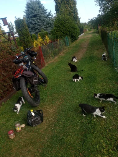 deap - Tak to prawdziwe, nie moje.

#koty