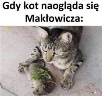 Neocaridina - #koty #smiesznekotki 
#maklowicz