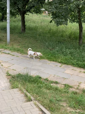 RybikSolny - Dobra wstałem... Mam trochę kaca no ale trudno trzeba się rozchodzić na ...