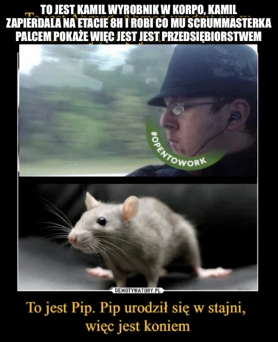 kamil-tumuletz - #antykapitalizm #bekazkuca #programista15k