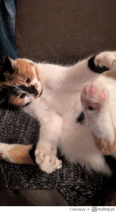 Czarnyyy - @LimboNoir: hug