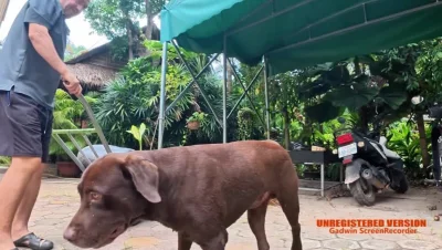 hans-kloss-23 - #raportzpanstwasrodka 

Nominowani do Oskarów w roku 2025, w Kategori...