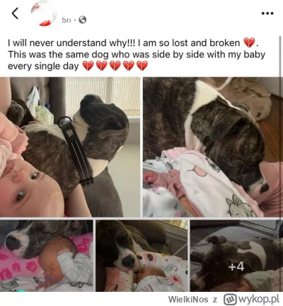 WielkiNos - @X0__x0 a patrzcie jak było przed wypadkiem. Sielski obrazeczek rodem z w...