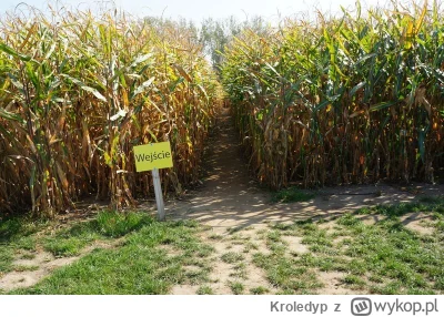 Kroledyp - #raportzpanstwasrodka 
Gdy Gapcio nie chce oddać zaległych należności za c...