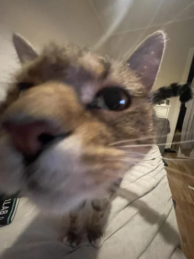 ZakazNarkotykow - @Lujdziarski: