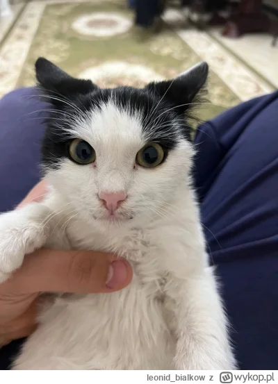 leonid_bialkow - puść mie