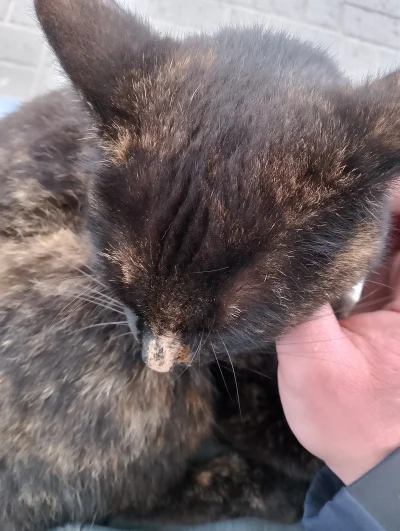 wscieklybobr - @wscieklybobr