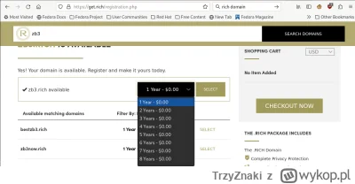 TrzyZnaki - Z ciekawości chciałem zobaczyć ile kosztuje domena .rich. Wiedziałem, że ...