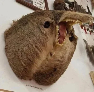 wfyokyga - Tak się właśnie czuje