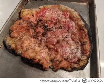 kierowcaautobusuofficial - pizza na obiad benc tego typu