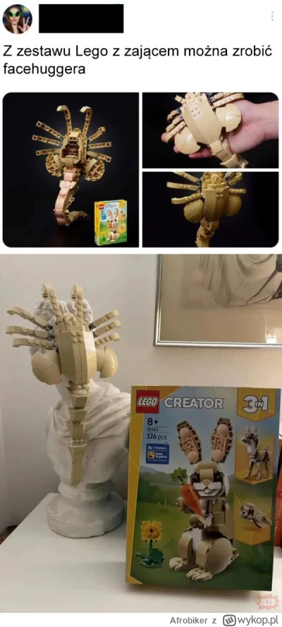 Afrobiker - #lego #takasytuacja