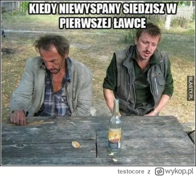 testocore - #kononowicz #patostreamy