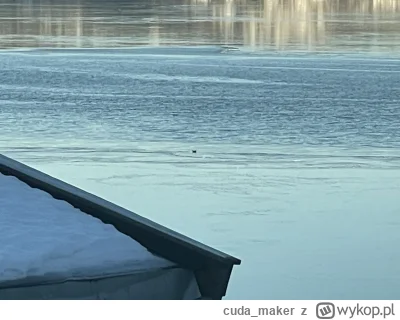 cuda_maker - Gdzie się wrzuca fotki na konkurs National Geographic w kategorii Wildli...