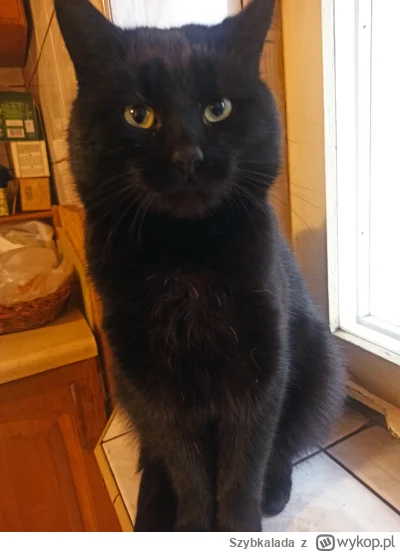 Szybkalada - @Szybkalada O k---a przypaliłem ją