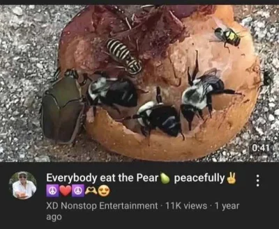 Dziadygaludowy - #przegryw