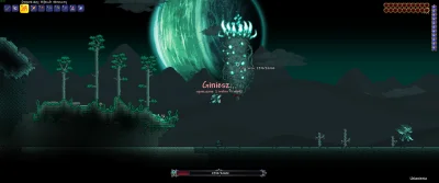 crazy88 - #konkursnanajbardziejgownianymemznosaczem #terraria