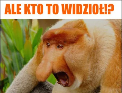 femboy69 - Z prędkością światła to lecą plusy i minusy na wypoku, a nie jakaś fizyka....