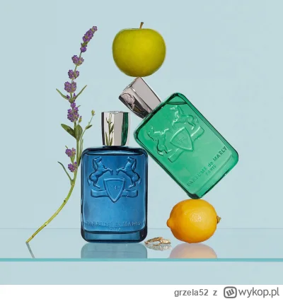 grzela52 - Zapraszam po mililitry Sedley oraz Greenley ze stajni Pardums de Marly z d...