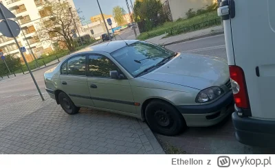 Ethellon - Zwierzęta wszędzie zaparkują 
#samochodoza