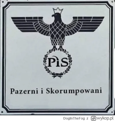 DogInTheFog - @Zdobycswiat_777666