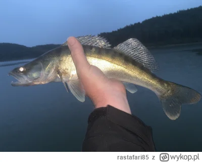 rastafari85 - Mały bo mały ale opłacało się moknąć :)
#wedkarstwo
