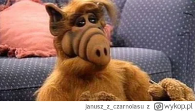 januszzczarnolasu - @Jossarian: ???????????