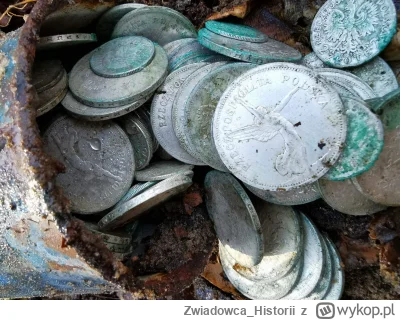 Zwiadowca_Historii - Garnuszek pełen srebrnych monet z IIRP odkryty w lesie (GALERIA)...