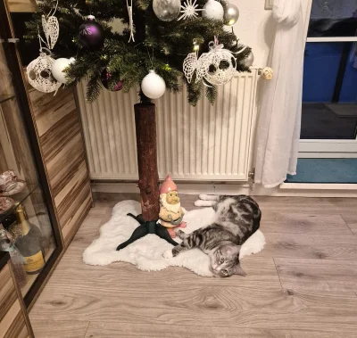 Lujdziarski - O kotek #pokazkota