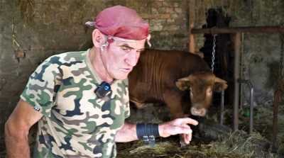 Romekzaklinaczbykow - Na przestrzeni dekad zdobyłem doświadczenie w hodowli byków. To...