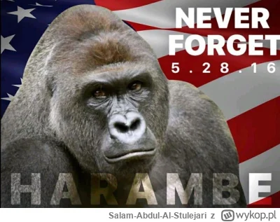 Salam-Abdul-Al-Stulejari - RIP IN PEACE #harambe