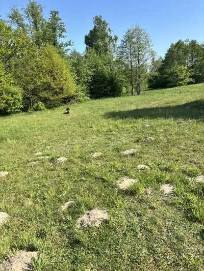 PetalMind - Jak zwykle najebusy śpią a ja..a ja krytycznie potrzebuje relacji z kobie...