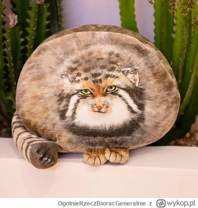 OgolnieRzeczBioracGeneralnie