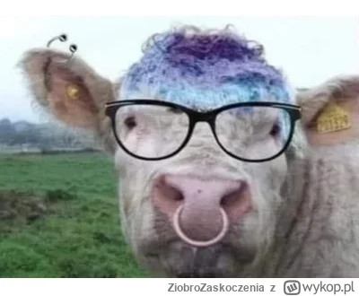 ZiobroZaskoczenia - @CzechoslowackiZwiazekSzachowWodnych:
Ja bym do tego dodał jeszcz...