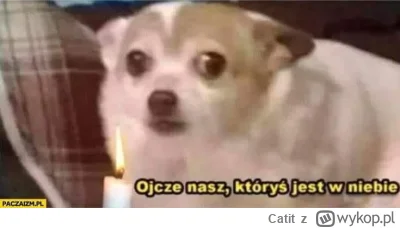 Catit - @Fleys: jakie brwi i rzęsy