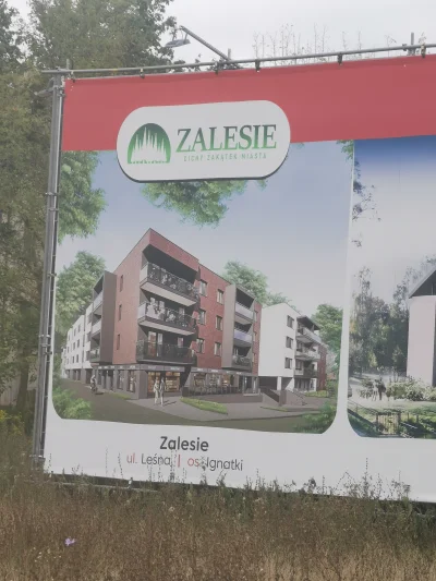 Damianowski - A więc tutaj jest to słynne #zalesie