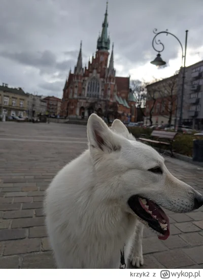 krzyk2 - 58 091,39 - 16,80 - 10,40 - 10,04 - 10,92 - 28,47 - 13,38 - 7,54 - 5,61 - 8,...