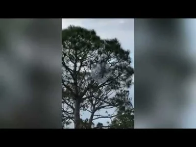 LobotomyEnthusiast - @pearljamik: https://www.youtube.com/watch?v=QjMSy4Yhpfk 

Cos w...