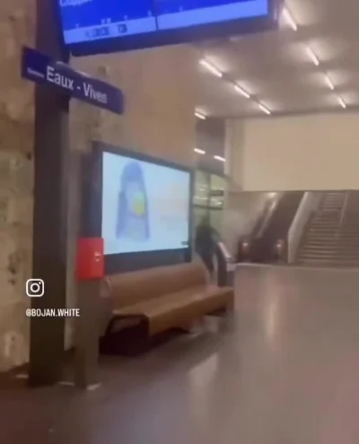 monky - > Wiele z tych osób to są: pielęgniarki, lekarze, ekonomiści.. i to są osoby,...