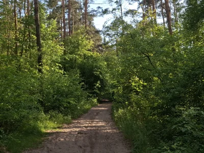 Outism0 - @Widur: Zależy od pogody