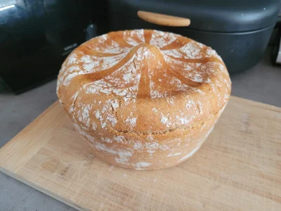 klefonafide - Muszę pomyśleć o większym naczyniu do pieczenia chleba.

#gotujzwykopem...