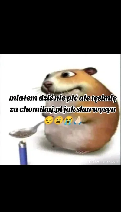 pozytywny_ozdobka - Chomik umar :(