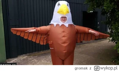 gromak - Jeżeli kiedykolwiek myśleliście, że w PL macie prace do kitu, to uświadomcie...