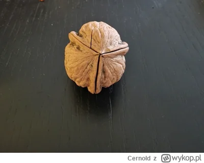 Cernold - #ciekawostki 

Pijcie ze mną kompot znalazłem orzechową czterolistną kończy...