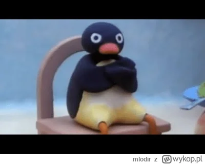 m.....r - @PiotrFr przecież wiadomo, że prawdziwy Polak przeczołga się po potłuczonym...